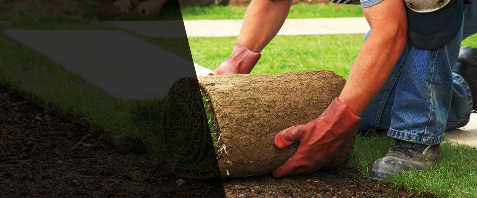 Rock Island Landscapers